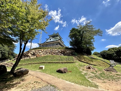 石垣と模擬天守と転落石