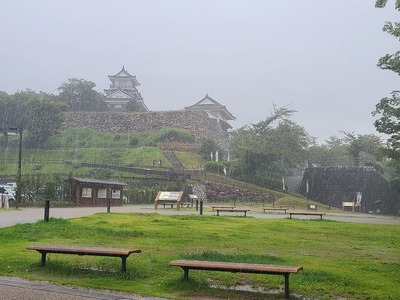雨の浜松城