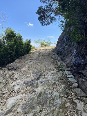 山道　東南角近く