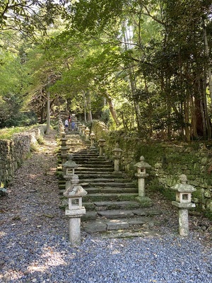 萬松院　百雁木