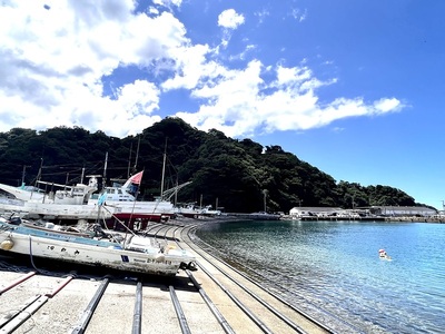 城址遠景（勝山漁港より）