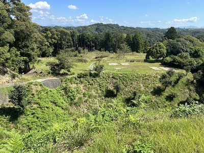 東尾根曲輪から見る北部エリアの全景