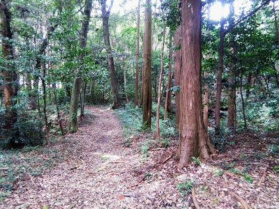 主郭側から見た土橋