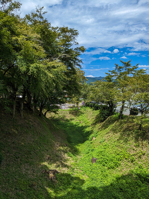 長篠城　空堀