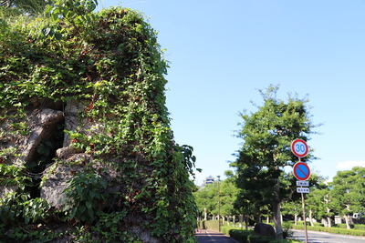 県立図書館東側の石垣