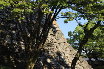 大納戸櫓の石垣