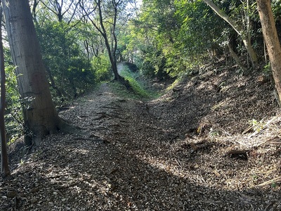 西峰に延びる横堀