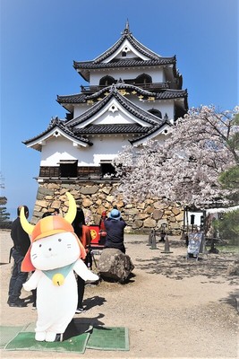 天守と桜とひこにゃん　その１