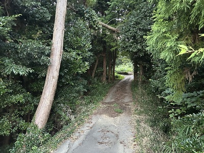 二郭の土橋