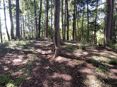 檜沢古館