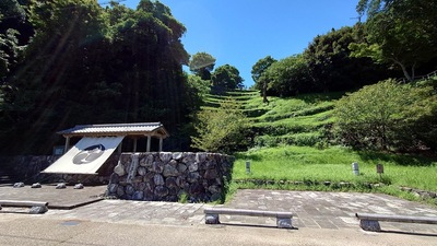 石垣（三の丸広場より）