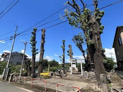 宮鍋神社