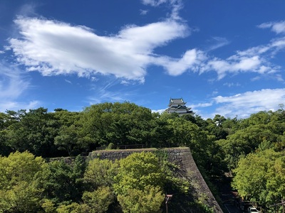 紀伊岡山城から見た和歌山城