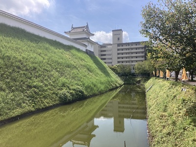 堀と本丸土塁（おほり橋から）