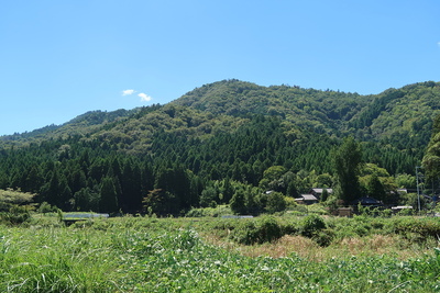 茶臼山城 遠景（北より）