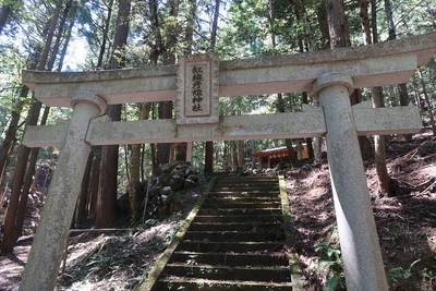 茶臼山城 道中の紅梅彦姫神社