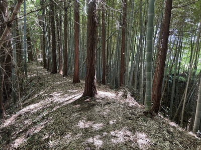 大窪城の土塁