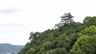 ライン大橋からの天守