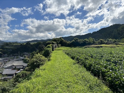 本丸の風景