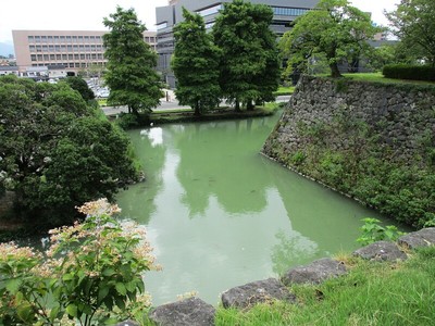 水堀（東側）