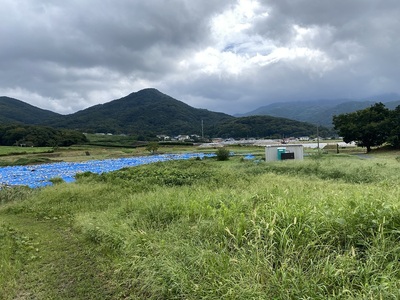 二ノ丸全景、発掘調査中