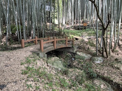 案内板奥の本丸前