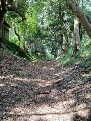 小峰御鐘ノ台大堀切東堀