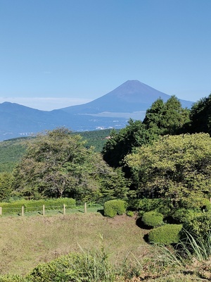 西ノ丸から見た富士山