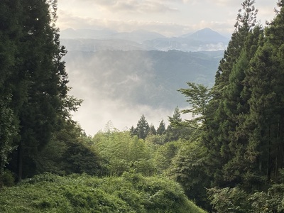 雲海