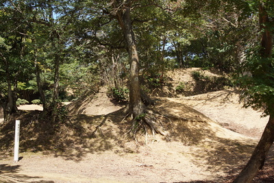 東虎口の土塁