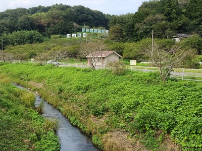 麓から