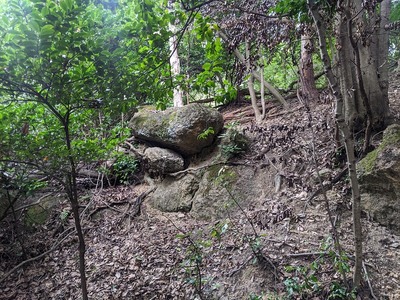 大山出城の石垣の一部と思われる