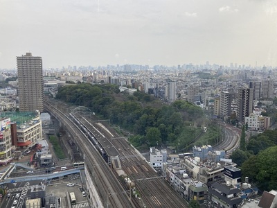 飛鳥山城　北トピアから見た城の全景