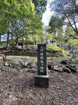 史跡　若桜鬼ヶ城跡