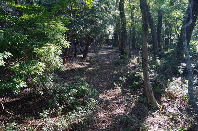 山頂の曲輪跡