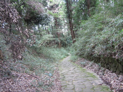 城址に向う山道