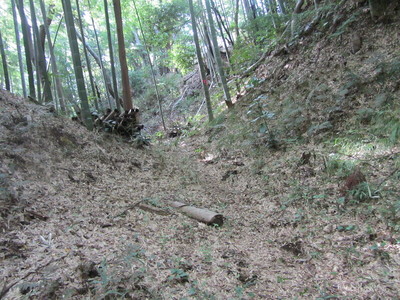 竹林をバックに立派な空堀