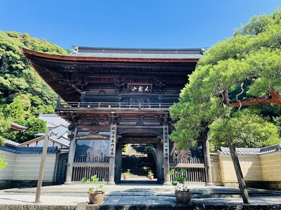 臨済寺　山門