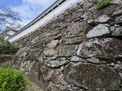 菱の門東方土塀下の石垣