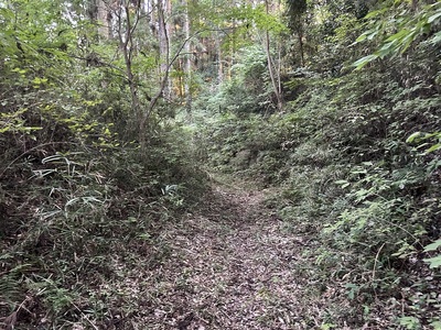 空堀と土塁