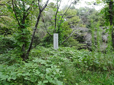 本丸の八幡台櫓跡