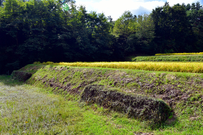 下畑城(下ノ城)跡