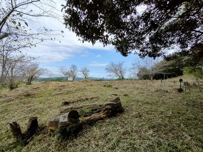 主郭全景