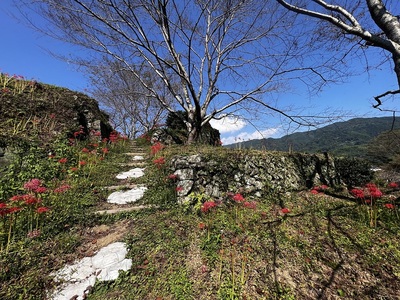 城址風景