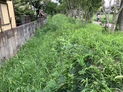 高槻城三の丸と外堀の段差