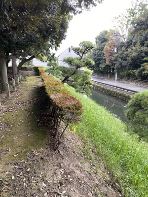 土塁から水堀を望む