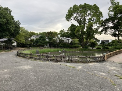 高槻城公園・公園風景