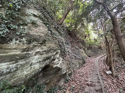 岩盤の切岸