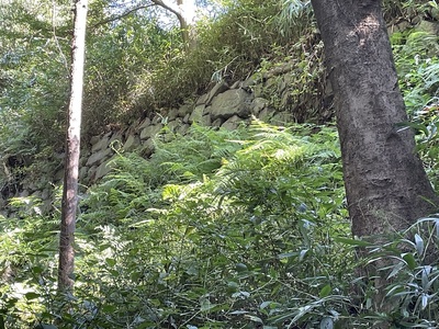 本丸蔵屋敷廓の石垣