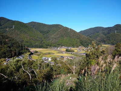 城跡の下の道路より